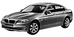 BMW F10 P01D5 Fault Code